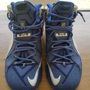 Lebron shoes